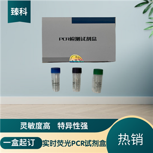 猪蓝耳病病毒经典型(PRRSV-C)核酸检测试剂盒(荧光-PCR法)