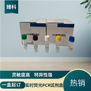口蹄疫病毒O型(FMDV-O)核酸检测试剂盒(荧光-PCR法)