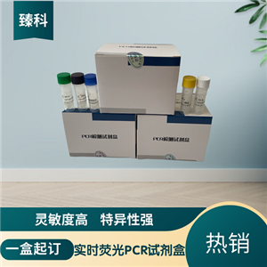 猪瘟病毒野毒株（CSFV-W）核酸检测试剂盒（荧光-PCR法）,CSFV-W