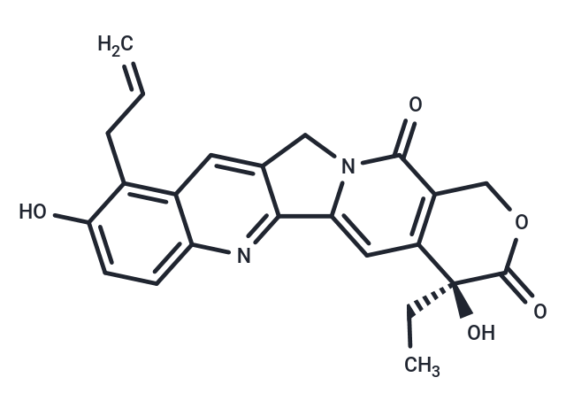 吉米替康,Chimmitecan