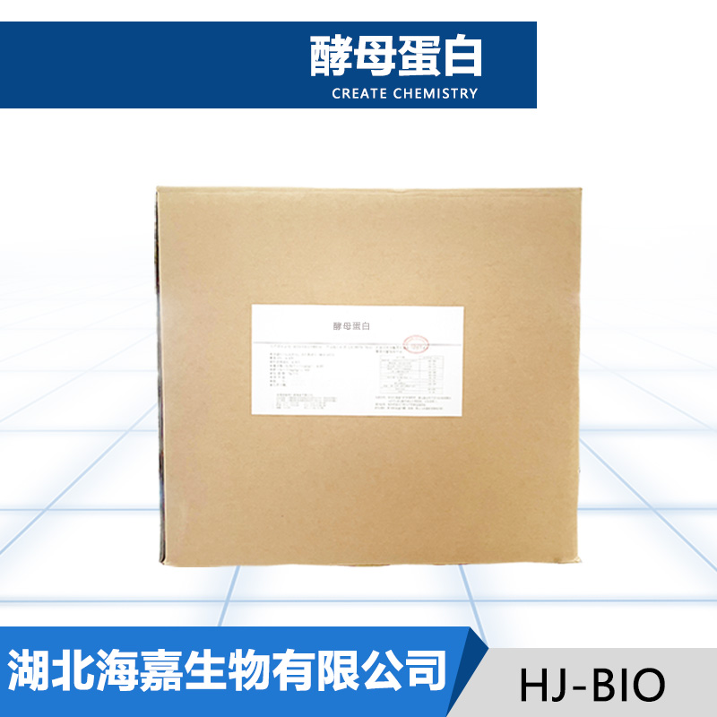 酵母蛋白,yeast protein