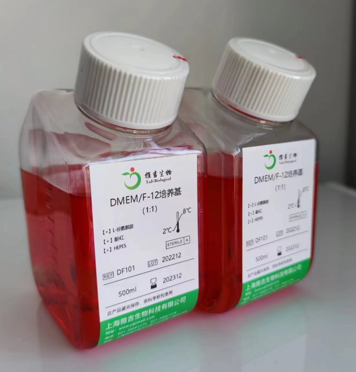 人肾皮质近曲小管上皮细胞HK2,HK2