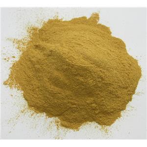 	甲基丙烯酸六氟丁酯	36405-47-7CAS  生产厂家  匠信生物