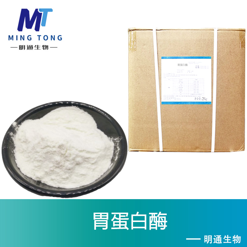 胃蛋白酶,Pepsin