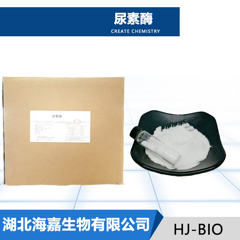 尿素酶,Urease
