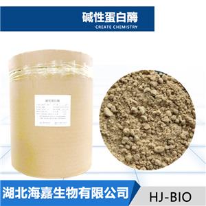 碱性蛋白酶
