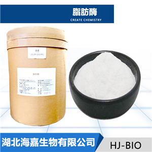 脂肪酶,Lipase