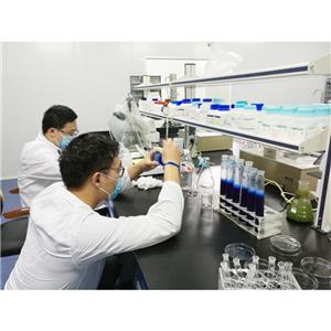 納豆激酶,Nattokinase