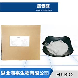 尿素酶,Urease