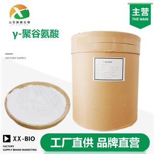 γ-聚谷氨酸