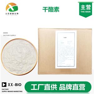 干酪素