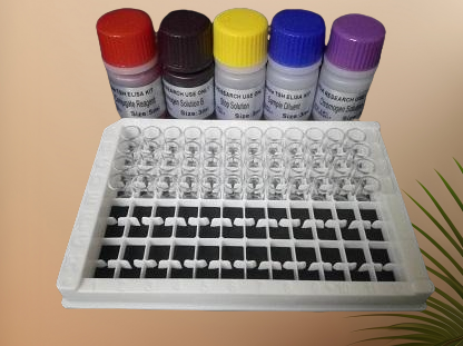 丙酸蛛网菌染料法荧光定量PCR试剂盒,Arachnia propionica