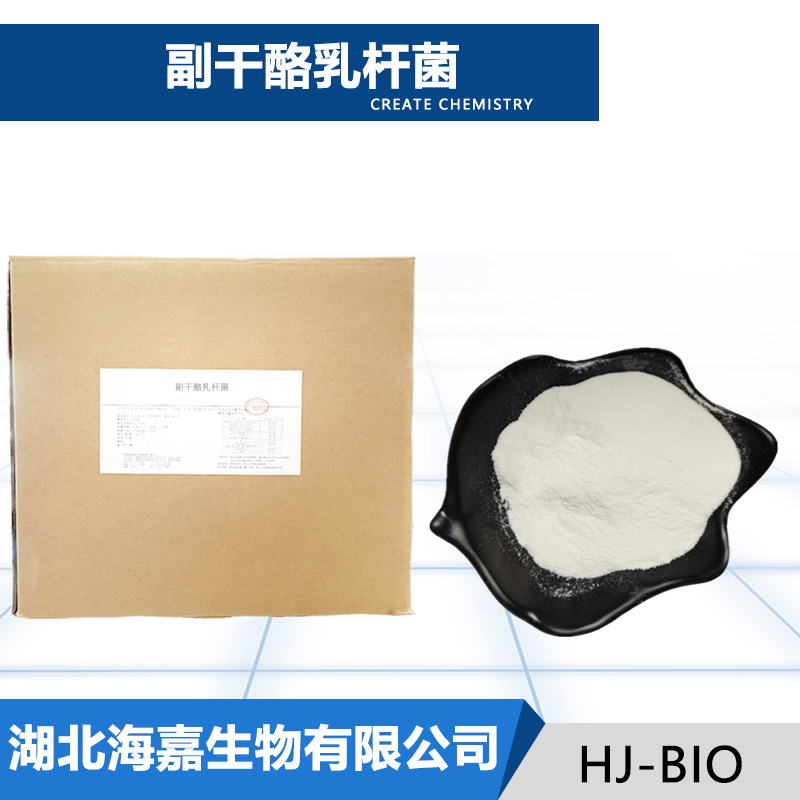 副干酪乳杆菌,Lactobacillus paracasei