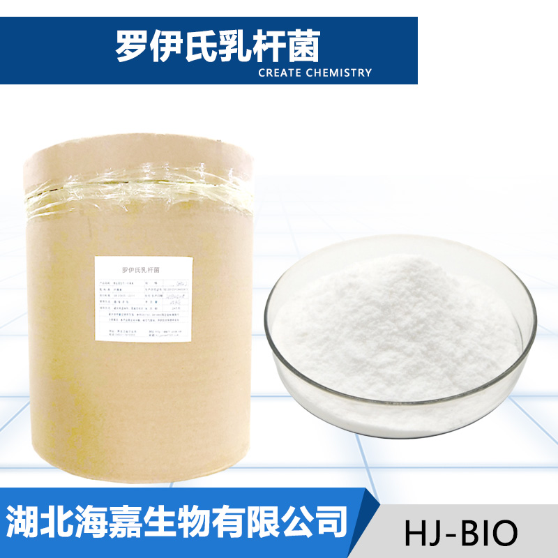 罗伊氏粘液乳杆菌,Lactobacillus Roy