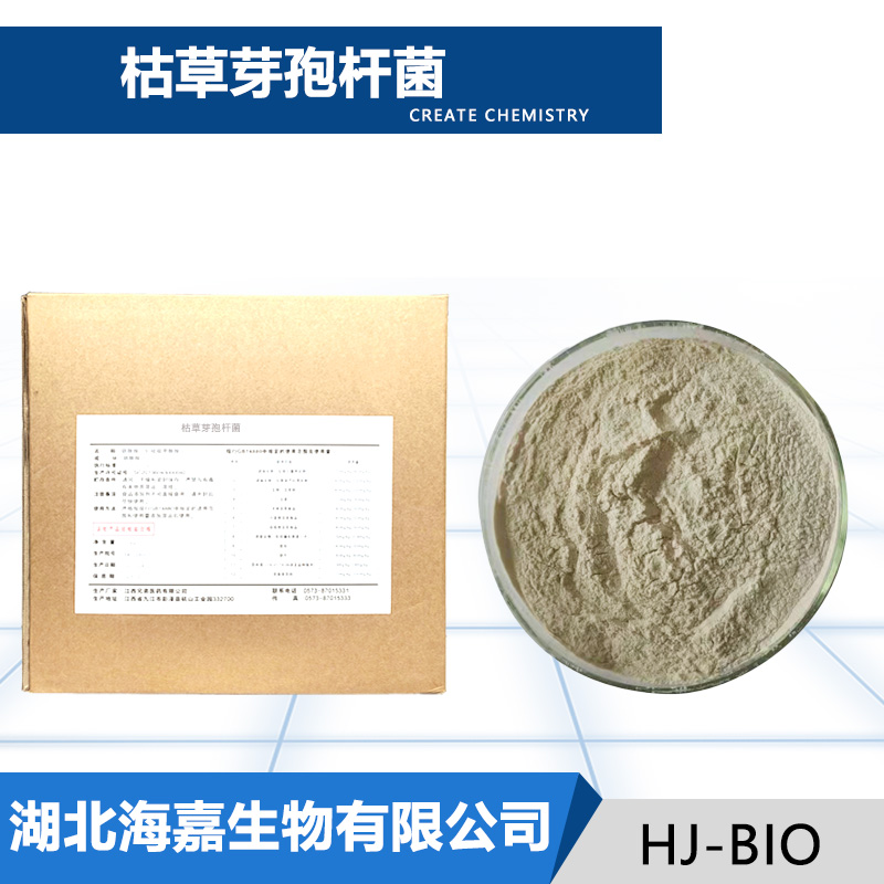 枯草芽孢杆菌,Bacillus subtilis