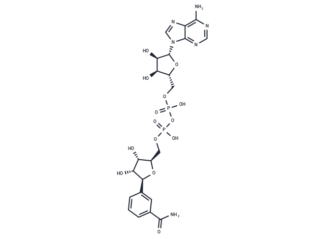 化合物 β-Benzamide adenine dinucleotide,β-Benzamide adenine dinucleotide