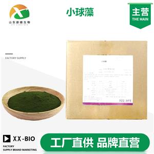 小球藻,CHLORELLA