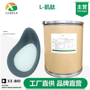 L-肌肽