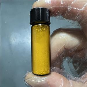 二水槲皮素 6151-25-3 95%HPLC 威德利 黄色粉末，天然槐米来源