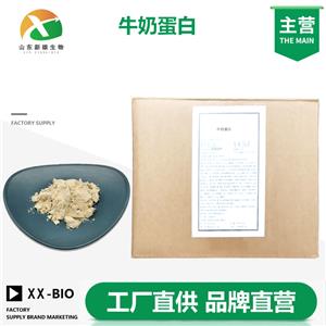 牛奶蛋白