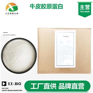 牛皮胶原蛋白