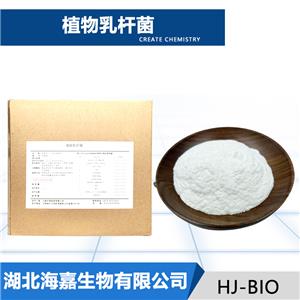 植物乳杆菌,Lactobacillus plantarum