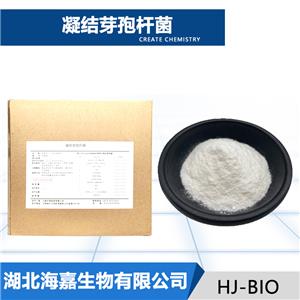 凝结魏茨曼氏菌