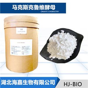 马克斯克鲁维酵母