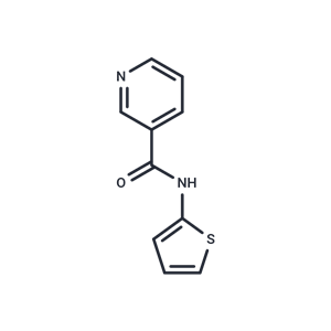 化合物 Nampt-IN-12|T88743|TargetMol