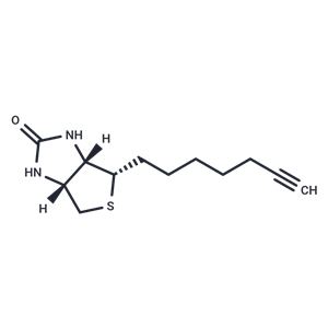 化合物 DecarboxyBiotin-Alkyne|T89802|TargetMol