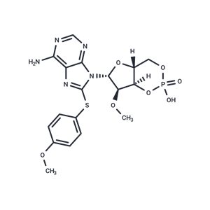 化合物 8-pMeOPT-2'-O-Me-cAMP|T88513|TargetMol