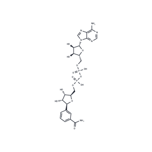 化合物 β-Benzamide adenine dinucleotide,β-Benzamide adenine dinucleotide