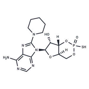 化合物 Sp-8-PIP cAMP|T88639|TargetMol