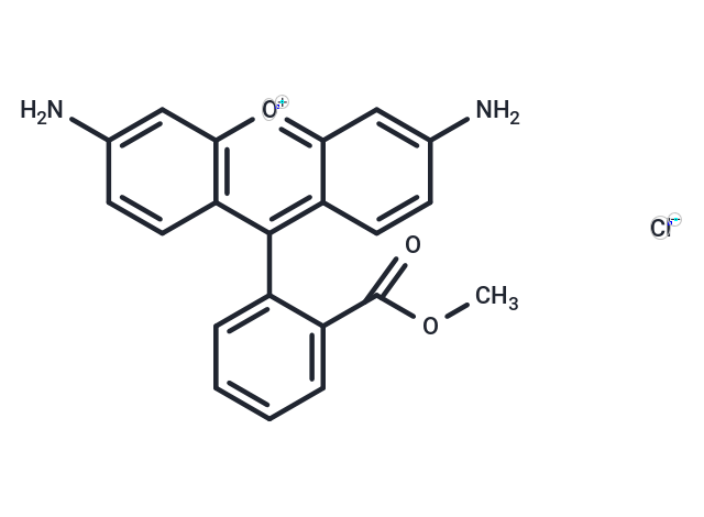 羅丹明123,Rhodamine 123
