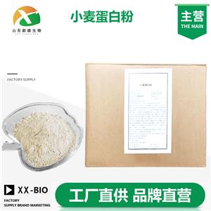 小麦蛋白粉