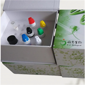 細頸線蟲染料法熒光定量PCR試劑盒