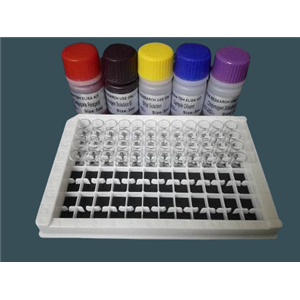Raillietina cesticillus有轮瑞氏绦虫染料法荧光定量PCR试剂盒
