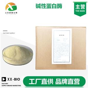 碱性蛋白酶