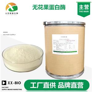 无花果蛋白酶