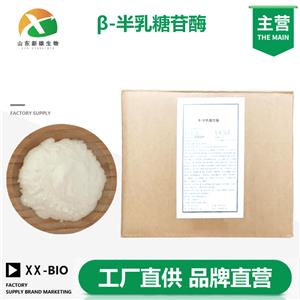 β-半乳糖苷酶