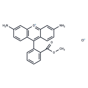 羅丹明123,Rhodamine 123