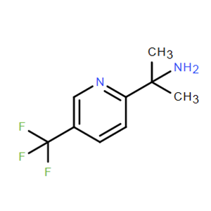 2-（5-（三氟甲基）吡啶-2-基）丙-2-胺,2-(5-(Trifluoromethyl)pyridin-2-yl)propan-2-amine
