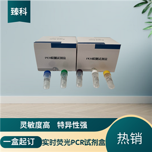 牛病毒性腹泻病毒(BVDV)核酸检测试剂盒(荧光-PCR法)