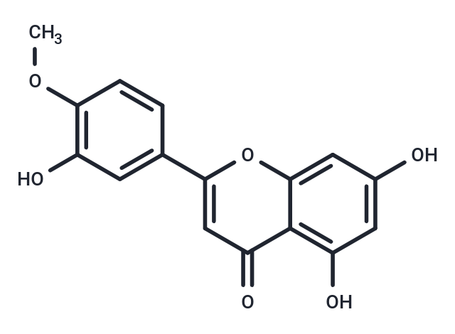 香葉木素,Diosmetin