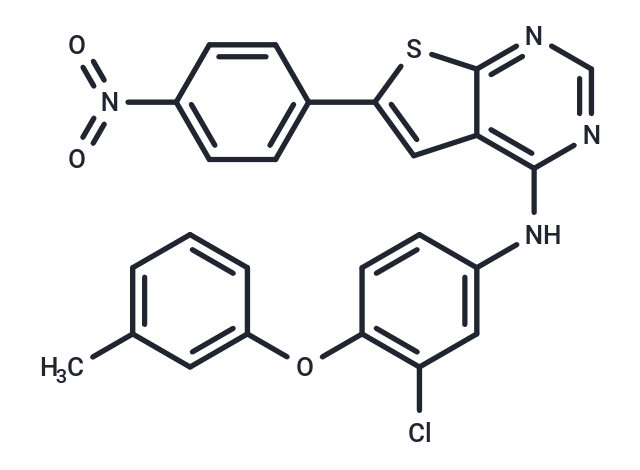 化合物 EGFR/HER2-IN-12,EGFR/HER2-IN-12