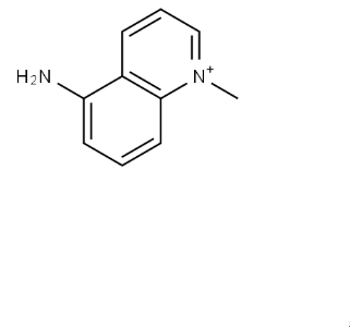 5-氨基-1-甲基-喹啉氯化物,5-Amino-1-methyl-quinoline chloride