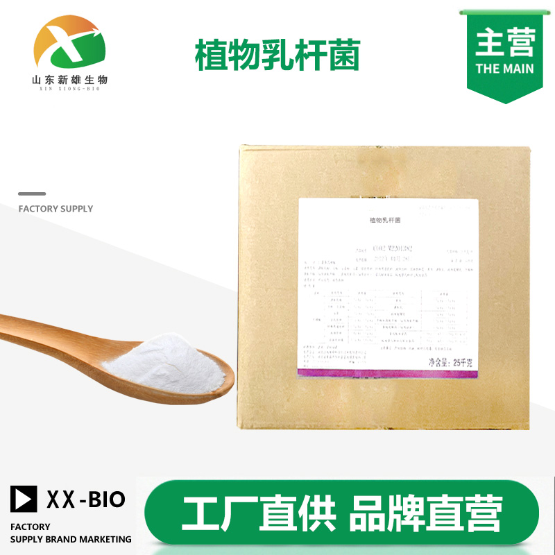 植物乳杆菌,Lactobacillus plantarum