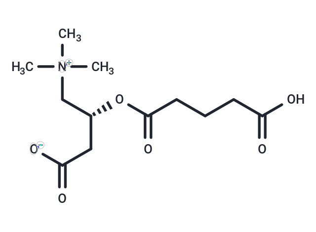 戊二酰基肉碱,Glutarylcarnitine