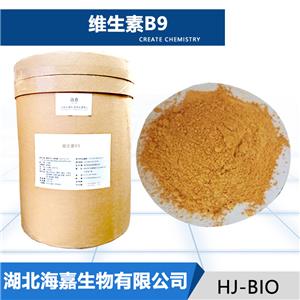 维生素B9生产厂家