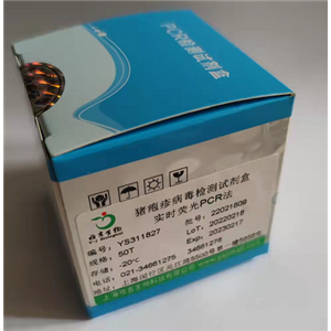 人疱疹病毒PCR试剂盒,HumanHerpesvirus